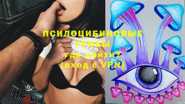 MDMA Верхний Тагил