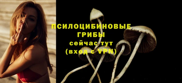MDMA Верхний Тагил