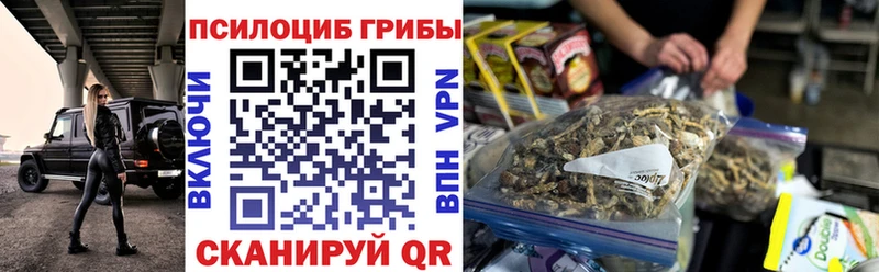 Псилоцибиновые грибы GOLDEN TEACHER  Ногинск 